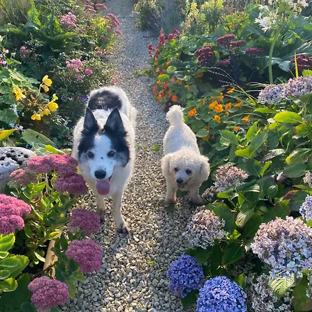 Furthest Point West Ballyconneely