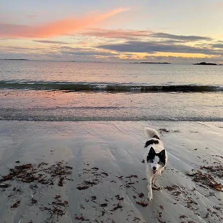 Furthest Point West منزل للإقامة باليكونيلي