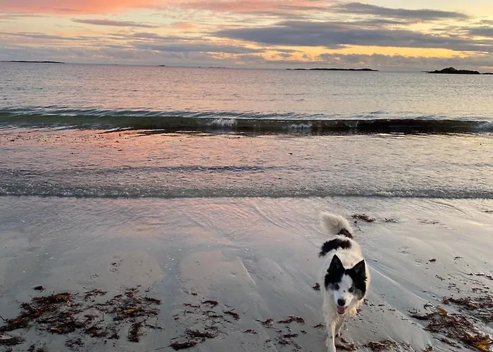 Furthest Point West Habitación en casa particular Ballyconneely