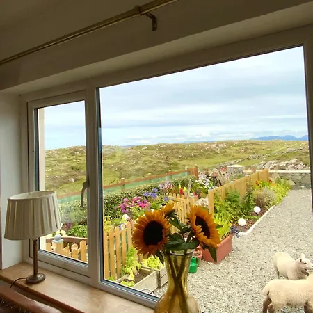 Проживание в семье Furthest Point West *