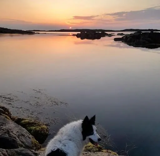 Furthest Point West Rum i privatbostad *