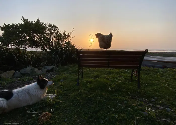 Furthest Point West Проживание в семье