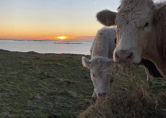 Furthest Point West Проживание в семье *